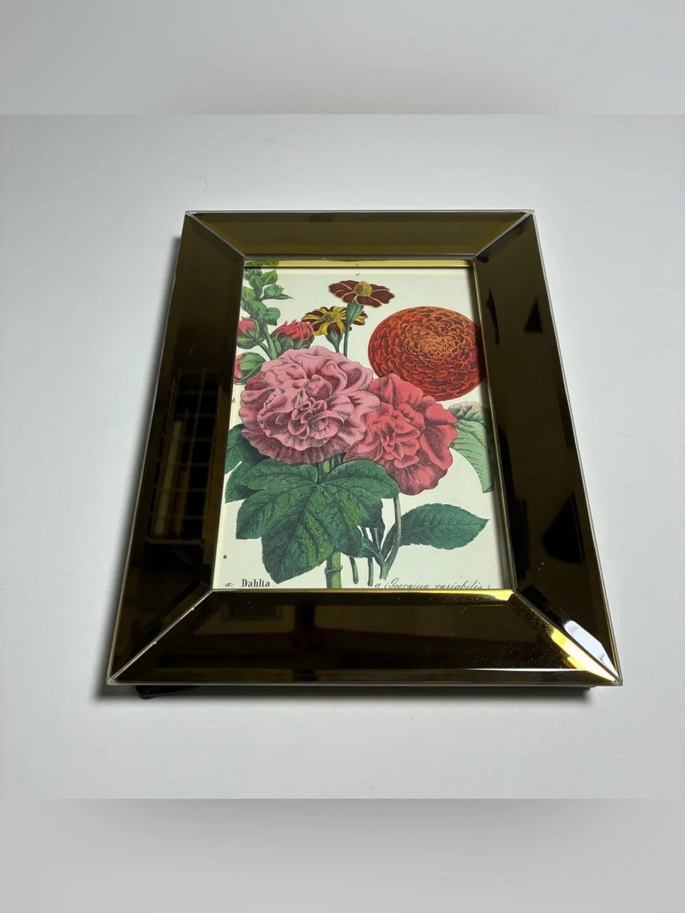 West Emory Gold Glass Picture Frame 6x8 Botanical Floral Flower Freestanding